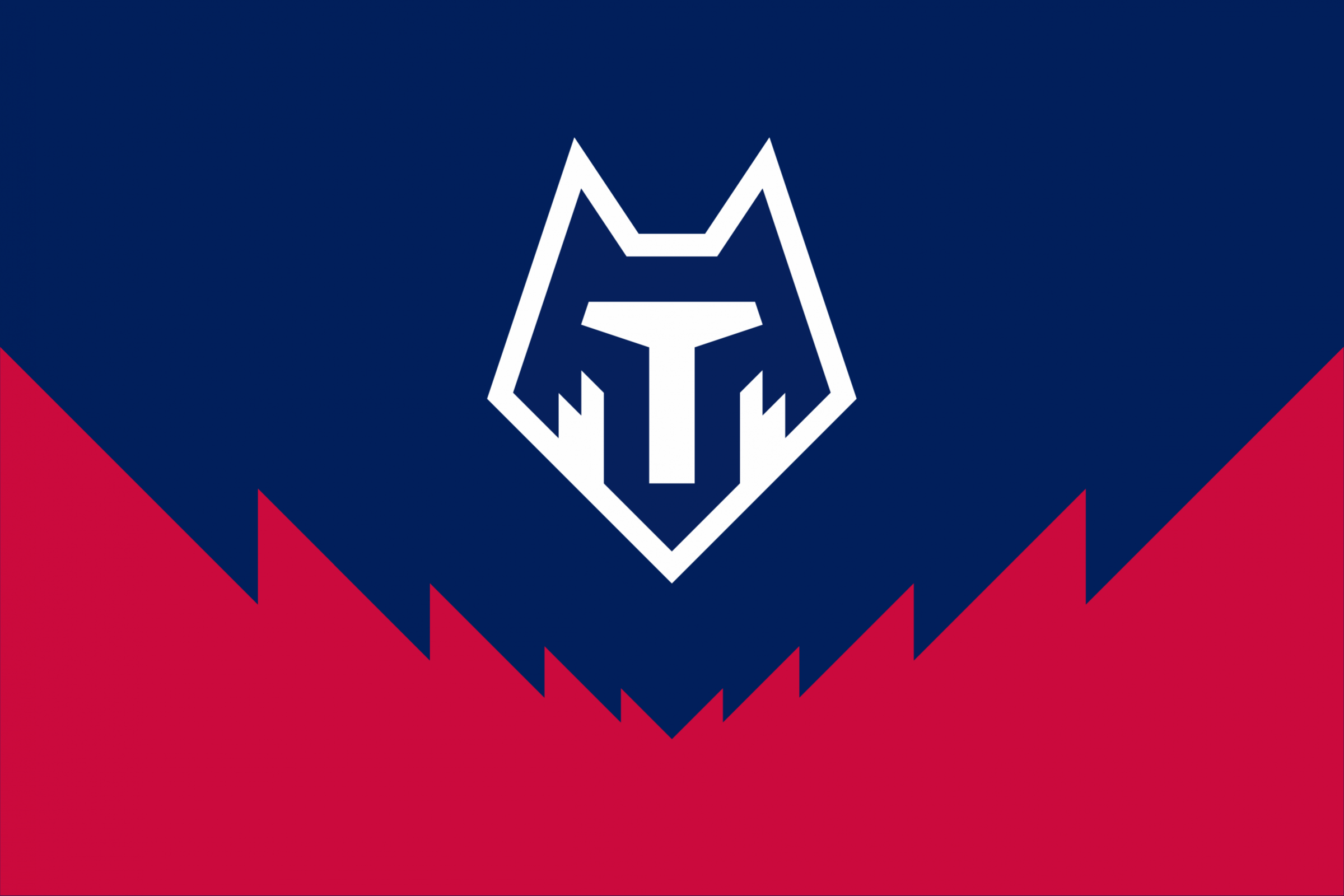 «Тамбов» презентовал новый логотип клуба
