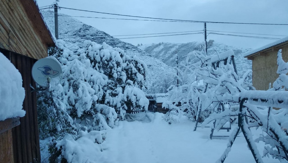 Населенные пункты Алтая засыпало первым снегом