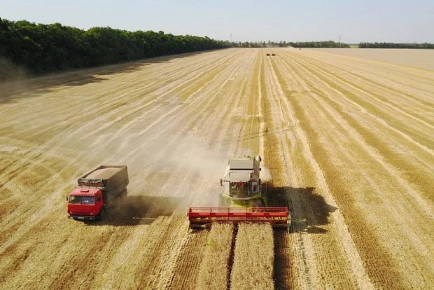 Российские фермеры собрали уже почти 49 млн тонн пшеницы урожая 2022 года