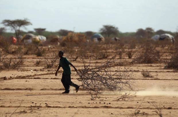 Богатые страны планируют выделить 25 млрд долларов на адаптацию Африки к изменению климата