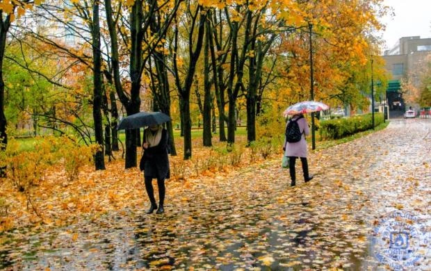 Москвичам обещают очередные дождливые выходные