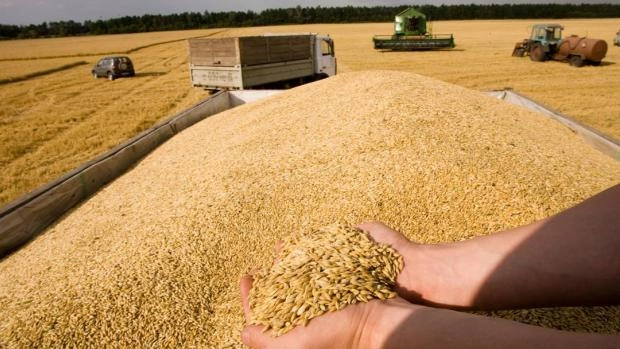 Новый рекорд: Россия в 2022 году собрала 155 млн тонн зерна
